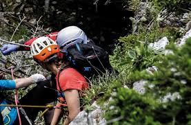 Übersaxen’de Kurtarma Operasyonu: Sahibi Peşinden Gitti, Köpek Ağır Yaralandı