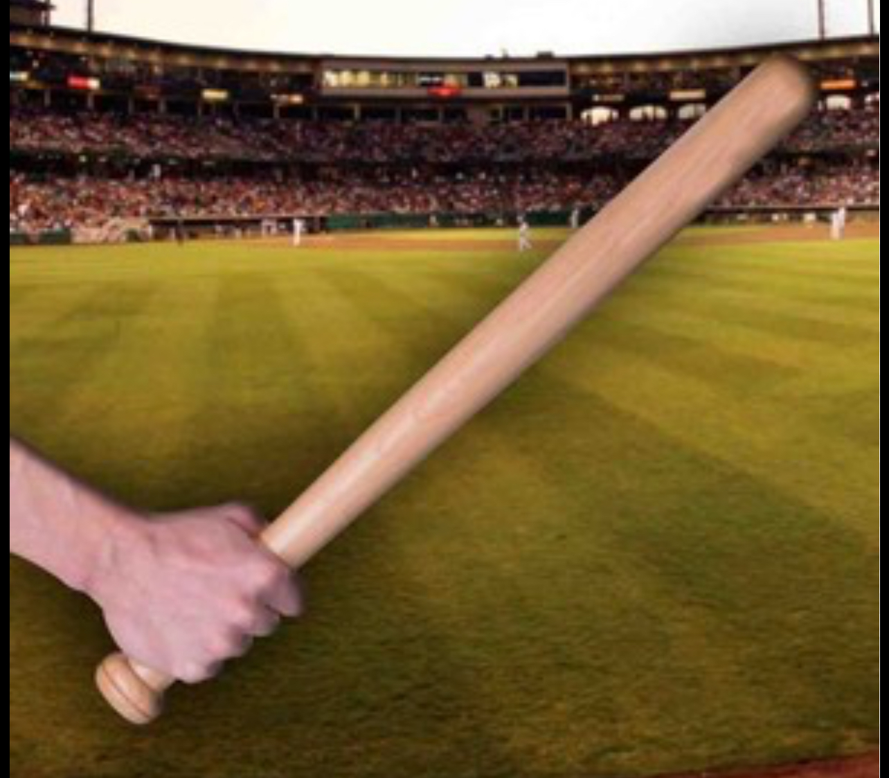 Dornbirn’de 15 Yaşındaki Kız Baseball Sopasıyla Yaralandı – Saldırgan Tutuklandı