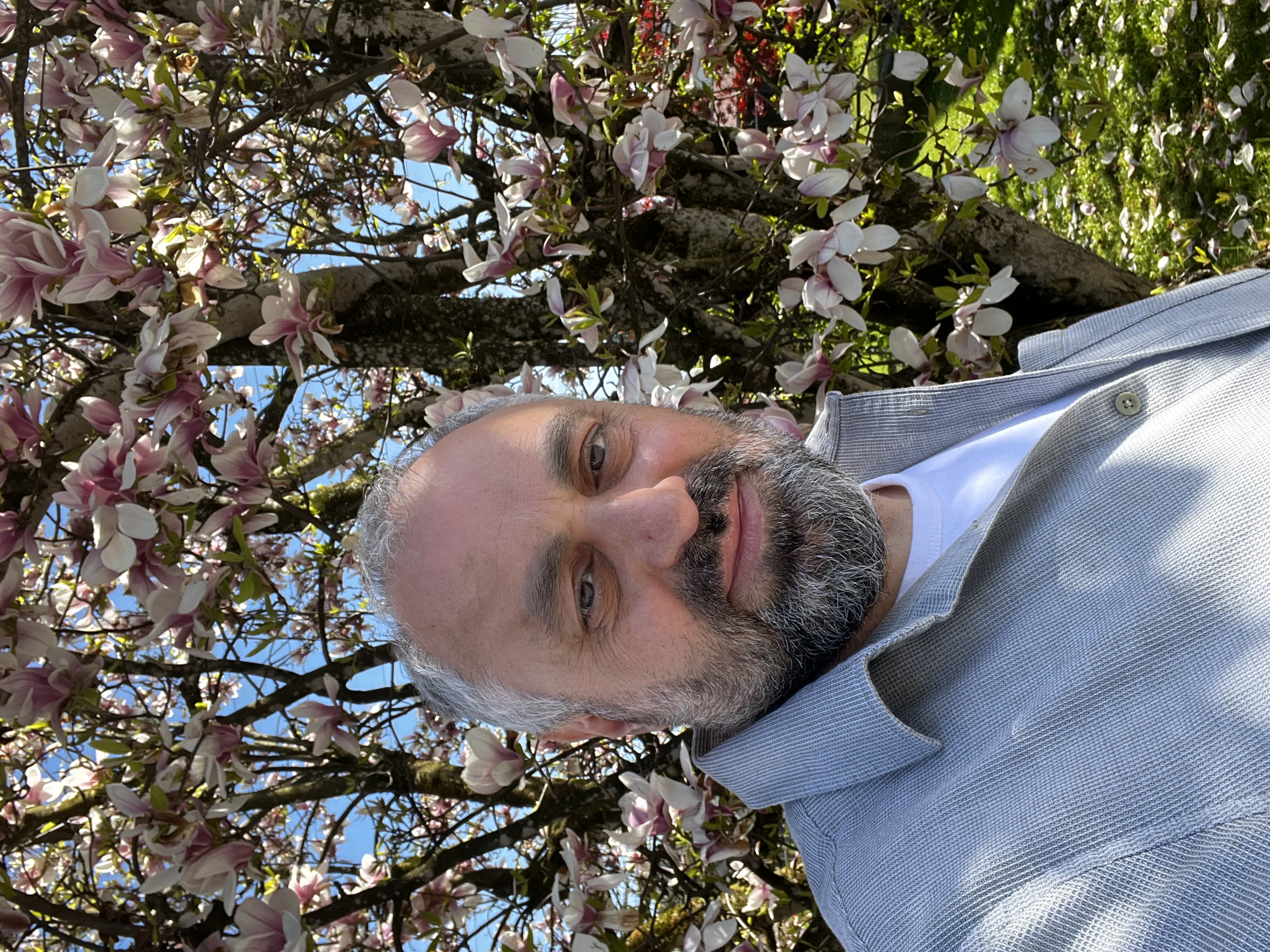 Vorarlberg’in Havası: Ruhun Aynası, Toprağın Terbiyesi