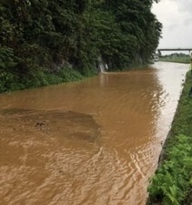 VORARLBERG ŞİDDETLİ YAĞIŞA TESLİM OLDU VORARLBERG ŞİDDETLİ YAĞIŞA TESLİM OLDU