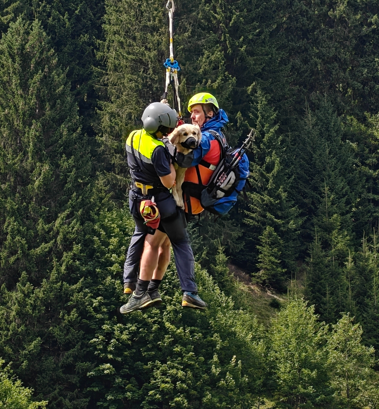 Kleinwalsertal’da Korku Dolu Anlar: Golden Retriever 40 Metre Uçuruma Yuvarlandı, Helikopterle Kurtarıldı