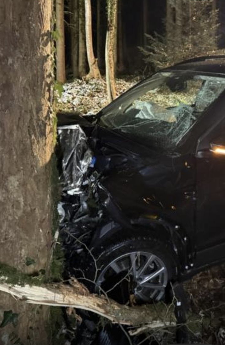 Bregenz’de Trafik Kazası: Otomobil Ağaca Çarptı, İki Kişi Yaralandı