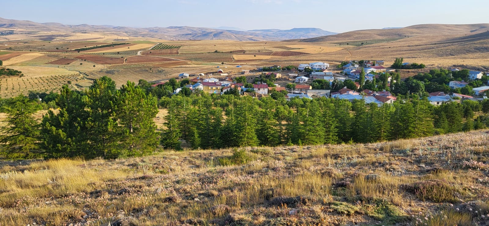 Konaktepe’de 27 Hektarlık Yeşil Mucize: “Türkiye Çöl Olmasın, Konaktepe Örnek Olsun”